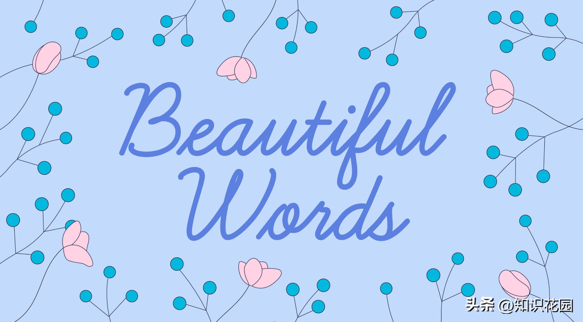 美丽的漂亮的英文单词是什么,十大最漂亮的单词