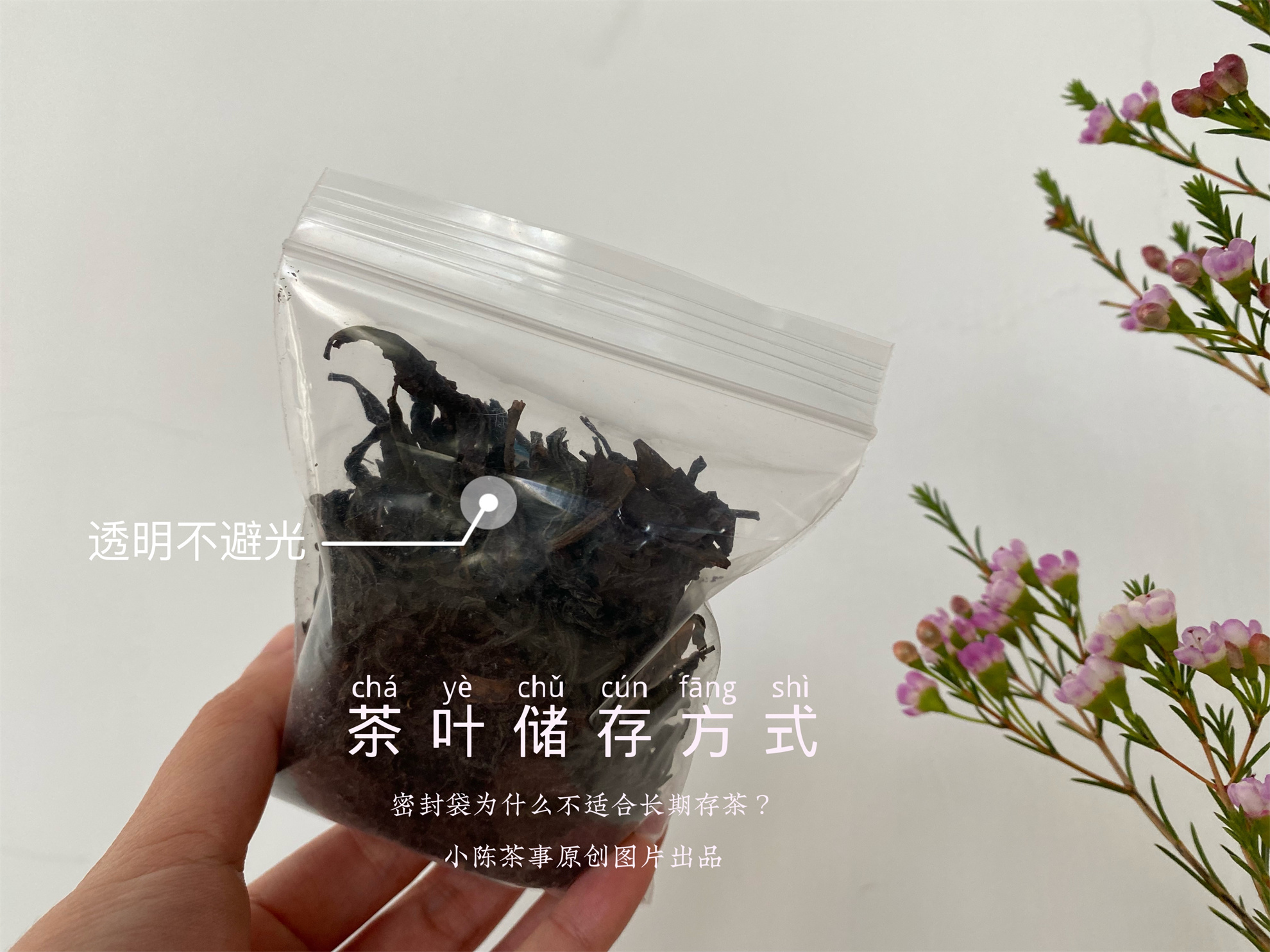用防潮袋密封存茶可以吗,密封袋里的茶怎么储存