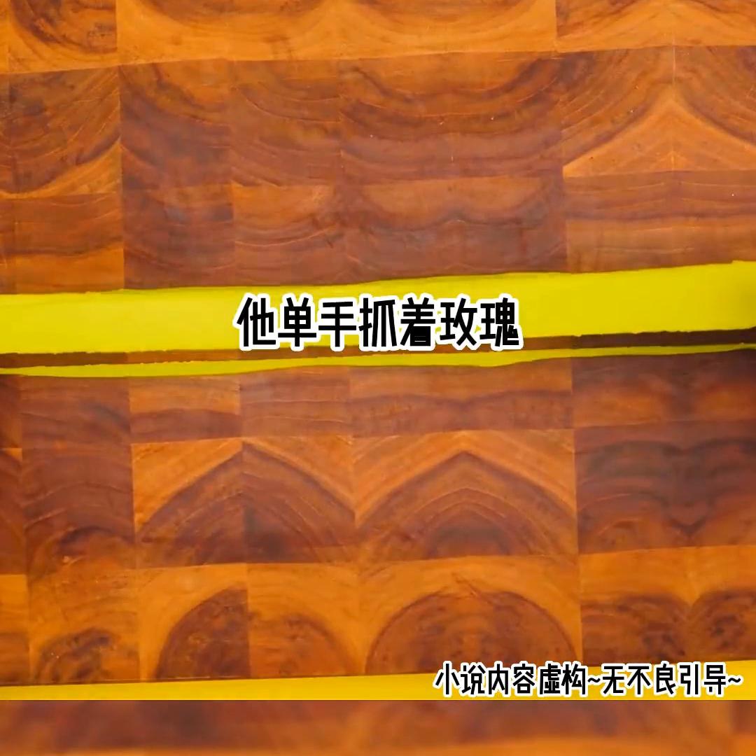 剥茧成蝶@DOU+小助手