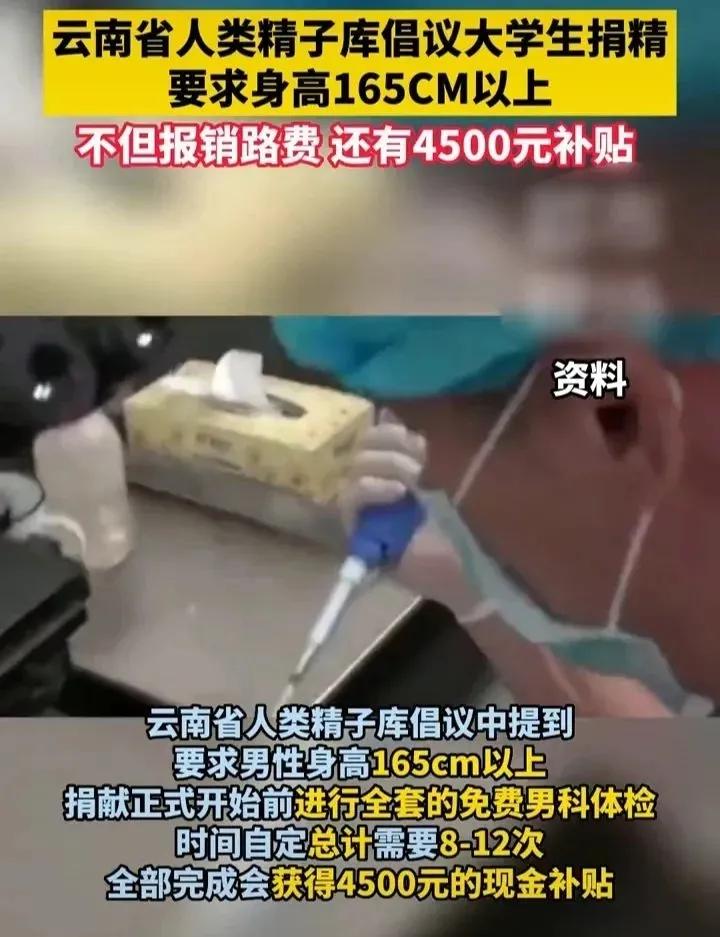 “捐精”你达到最新要求了吗