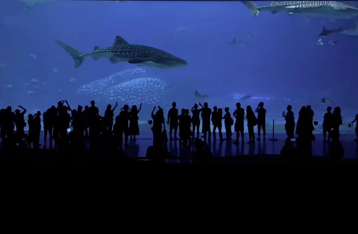 一篇文章告诉你：广州长隆跟珠海长隆有什么不一样？