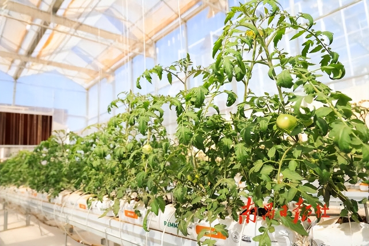 宽创国际｜淘宝上线3D商城，双11进入元宇宙时代