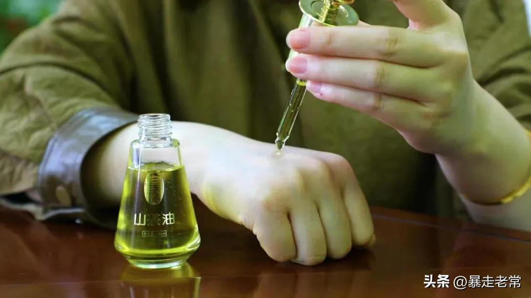 发展高产油茶产业助力造血式扶贫,油茶种植为乡村振兴添活力