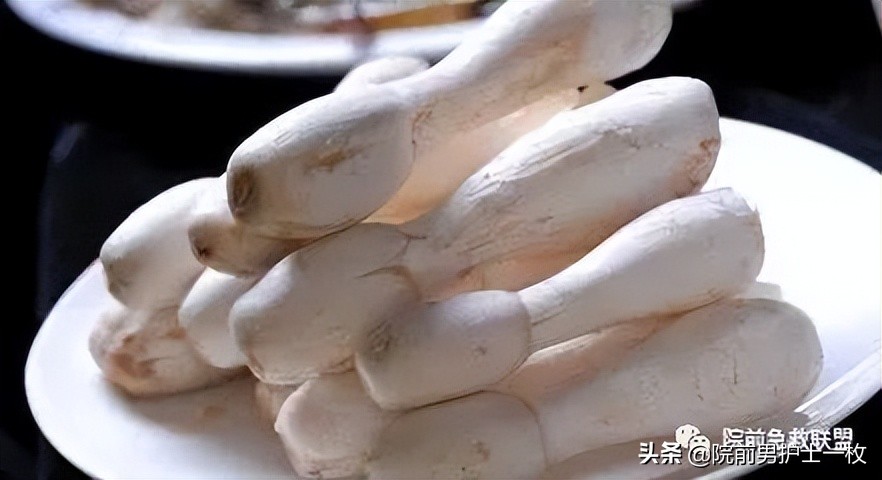 蘑菇中毒最常见品种,有毒蘑菇的八种识别方法