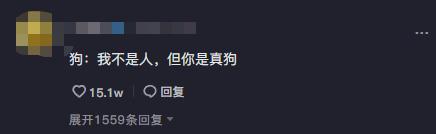 全网最听话的奥斯卡二哈,一只被主人逼疯的二哈奥斯卡