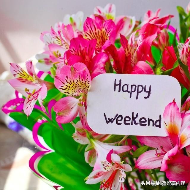 3月15日早安每日问候祝福语,三月最美早安祝福语