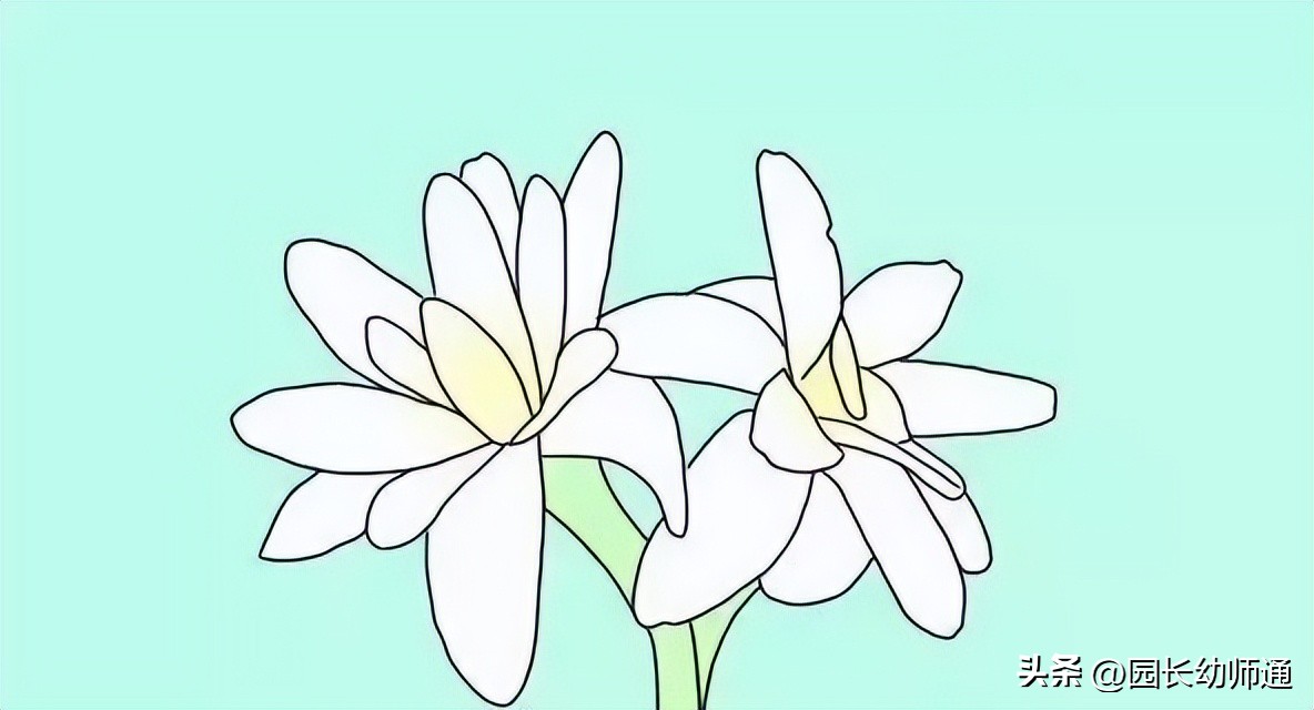 幼儿园防蚊策略,健康环保的7种驱蚊绝招