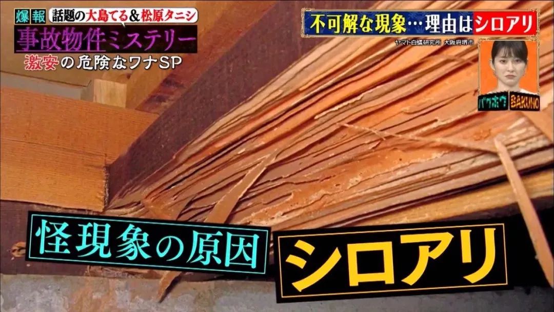 夫妻俩买婚房不料是凶宅下集,夫妻住在凶宅的真相