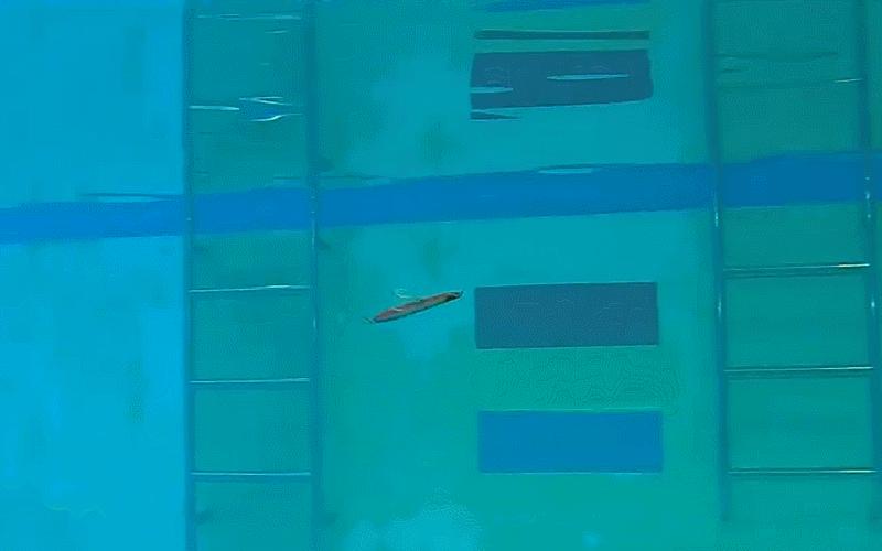 閽撳叿鏂伴椈,娓斿叿琛屼笟鏂伴椈