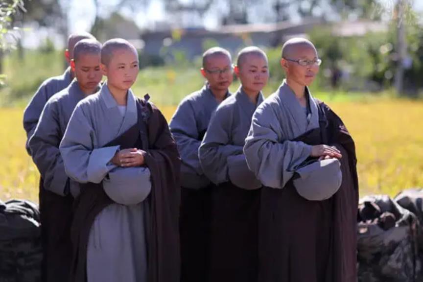 中国最大尼姑寺庙排名榜,中国尼姑最多的寺庙