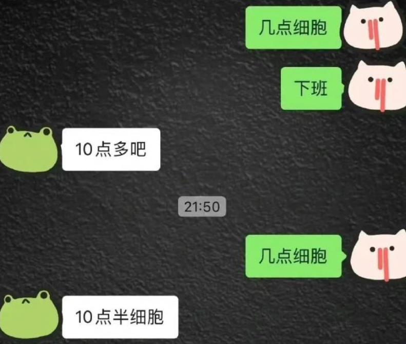 “头婚可以请假吗”？大学生手滑聊天记录火了，看后笑得直不起腰