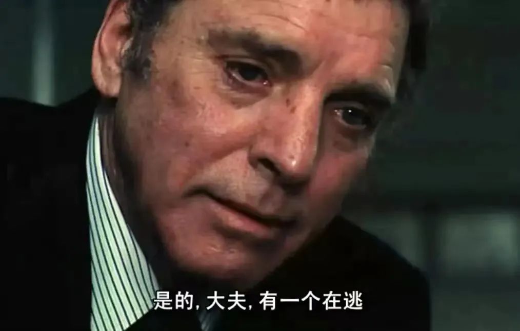 倪军|论《卡桑德拉大桥》(2006)