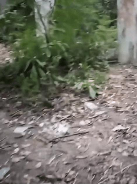 閲忓瓙鍔涘杞欢鎺ㄨ崘,閲忓瓙鍔涘杞欢