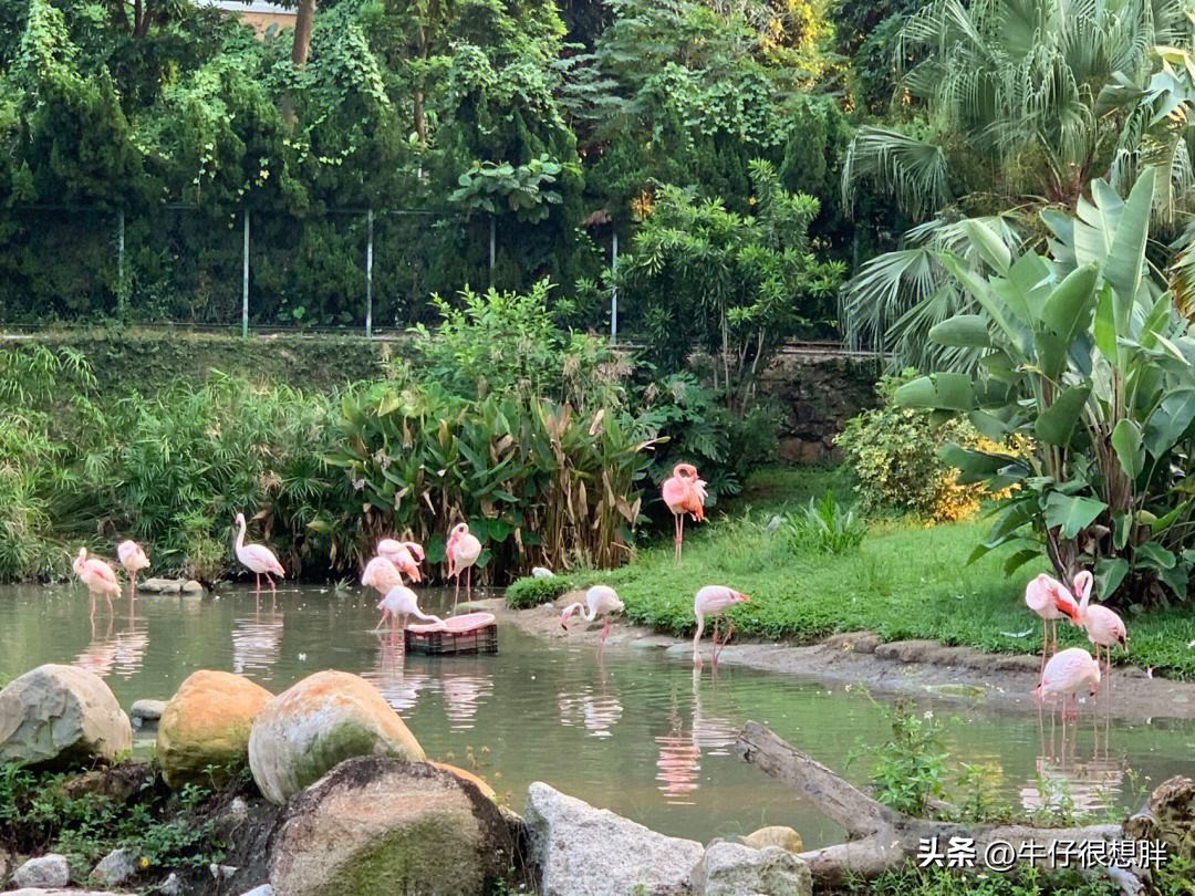 冬天澳门亲子遛娃,去澳门带着小孩逛哪里好玩