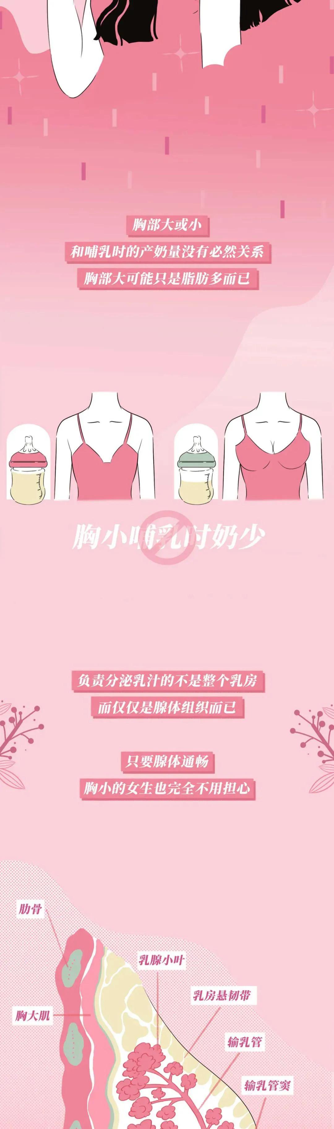 正常乳房有哪几种,乳房整形有哪几种类型