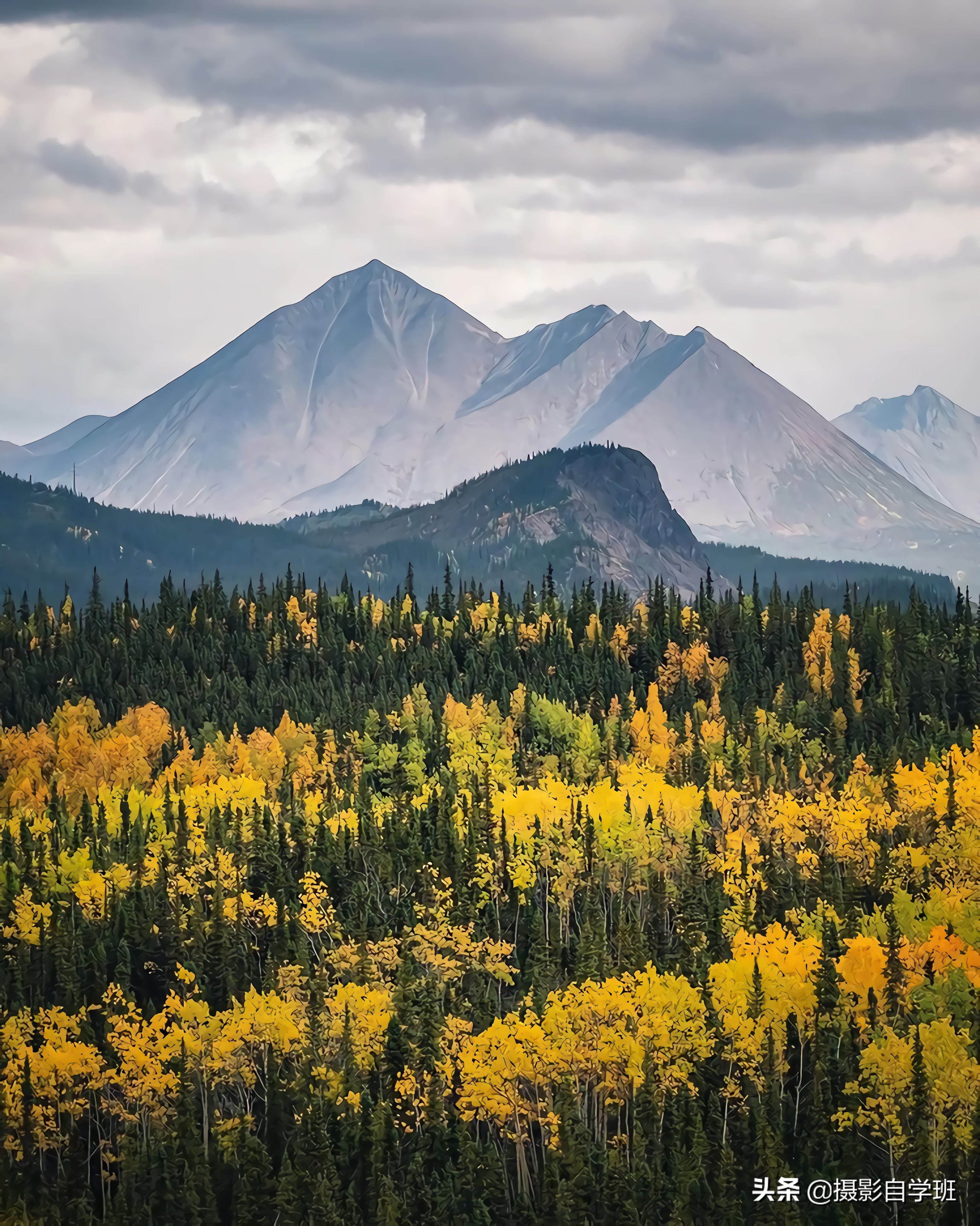 摄影入门教你轻松拍大片,摄影初学学会这几招就能拍美照