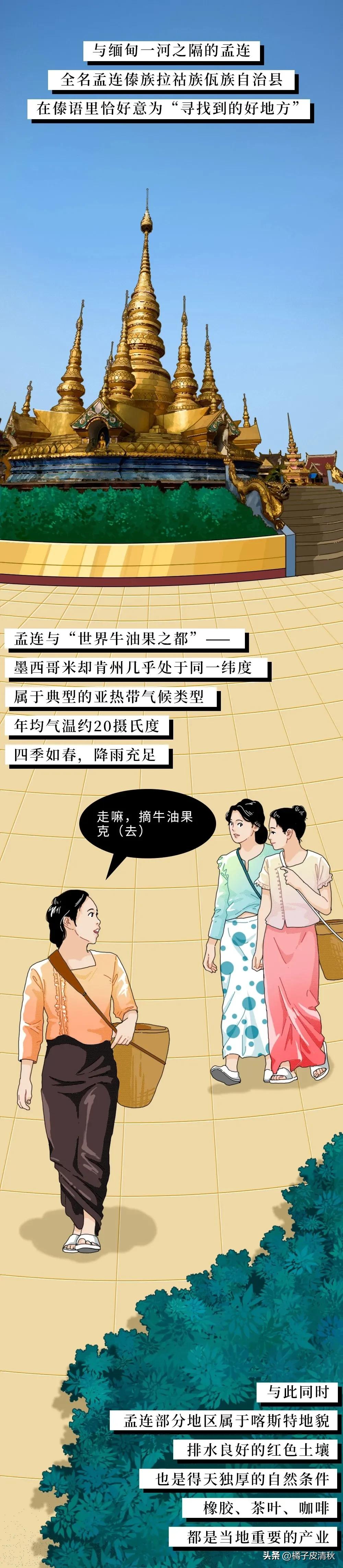 墨西哥进口牛油果,墨西哥牛油果云南