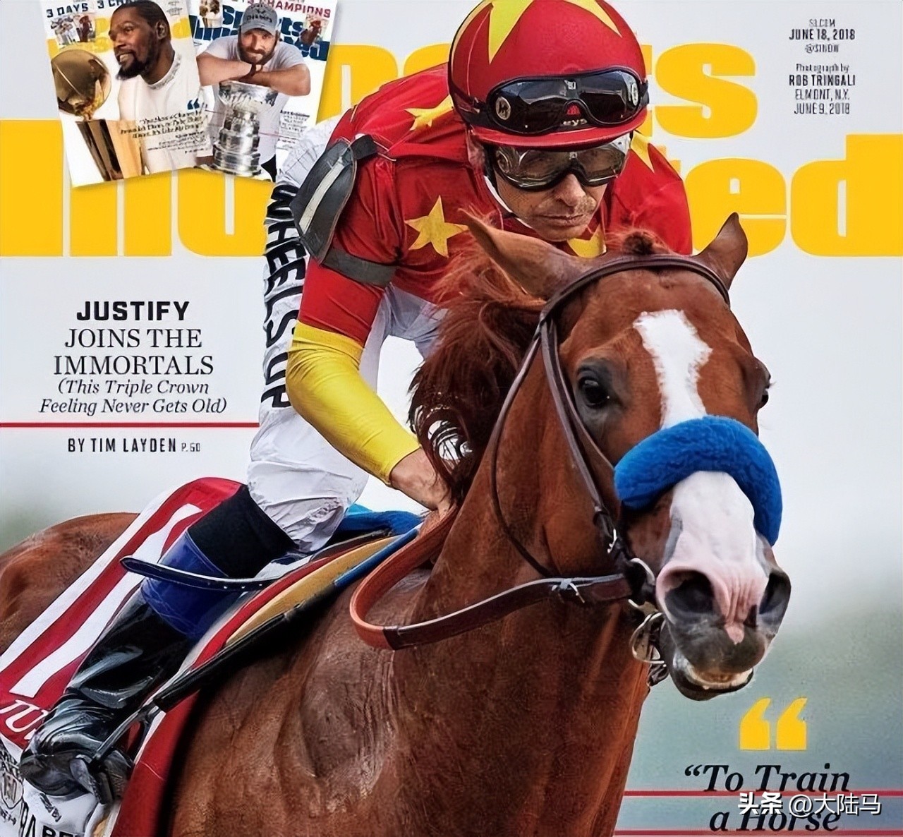 21世纪最伟大比赛,20世纪美国100匹顶级赛马排名