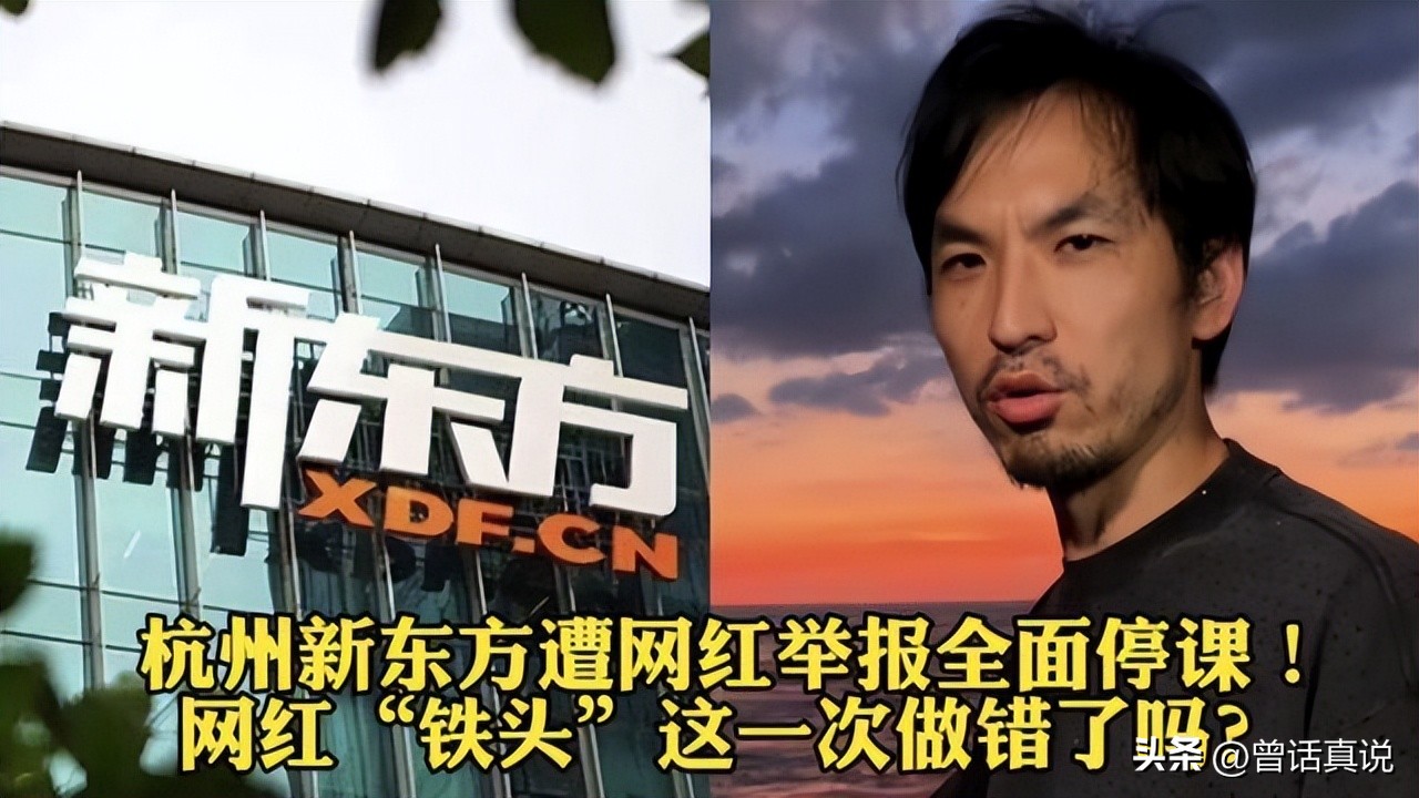 新东方铁头事件,新东方铁头事件后续