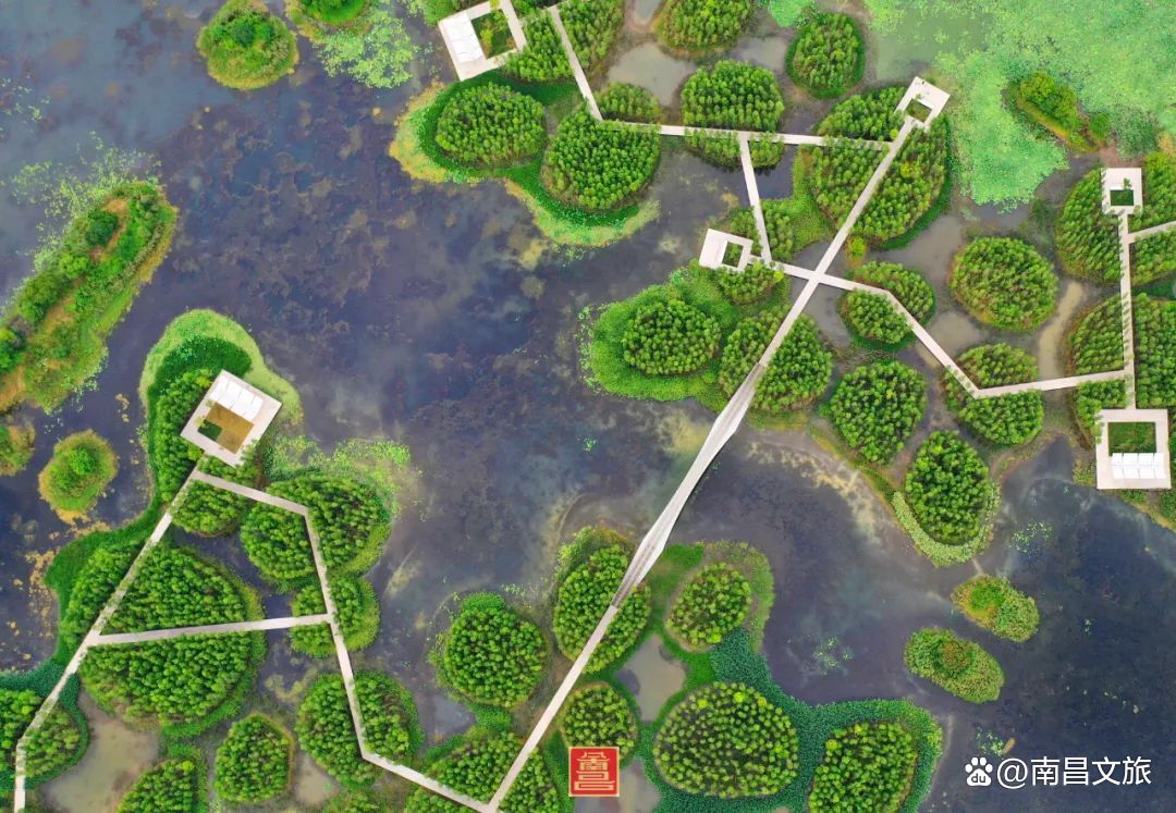 “流量”变“留量”，“网红”变“长红”，南昌，未来可期！