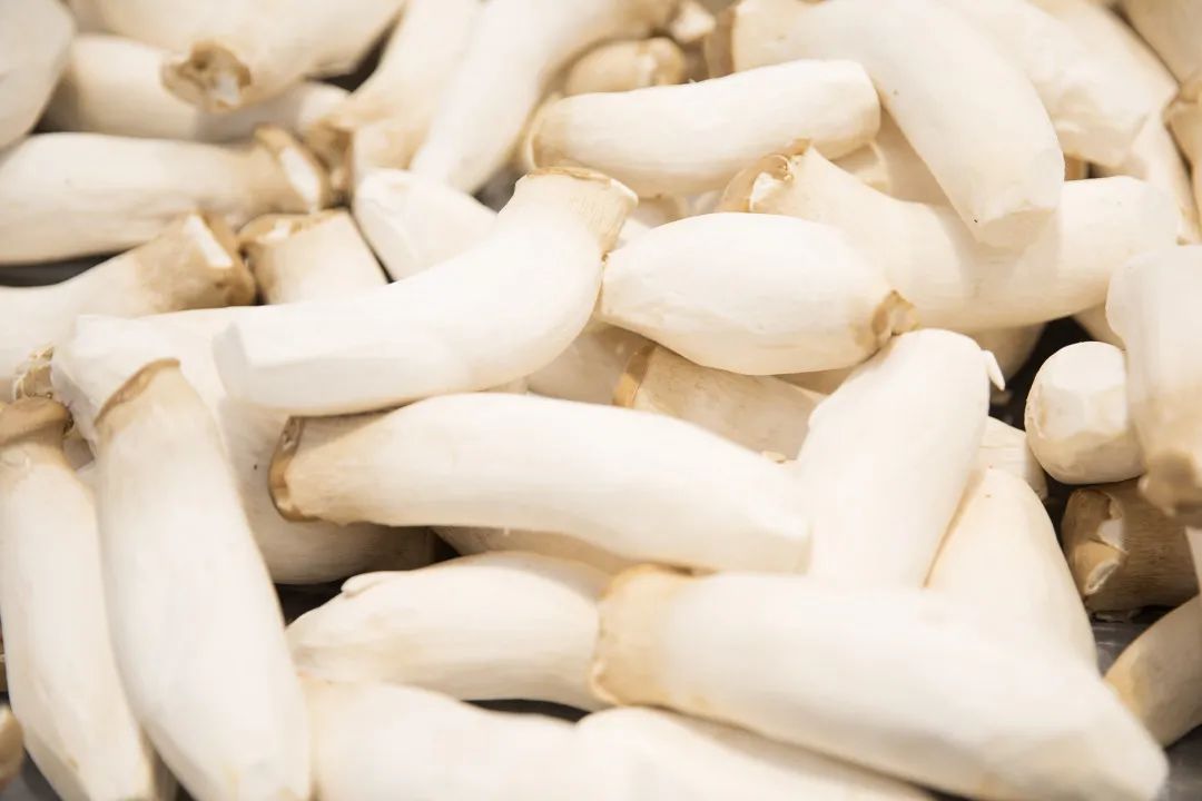 几块钱一斤的菜中“灵芝”，强免疫、防感冒，贴秋膘吃它比肉香