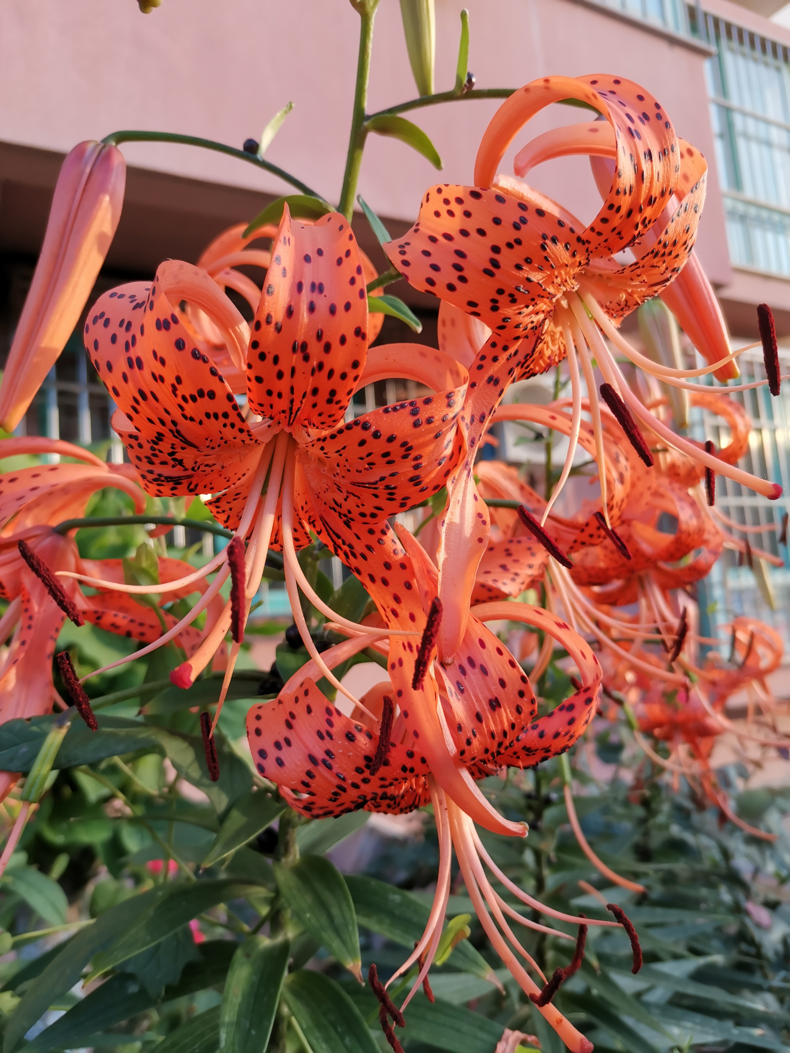 我的一段恋爱经历,回忆我的恋爱经历