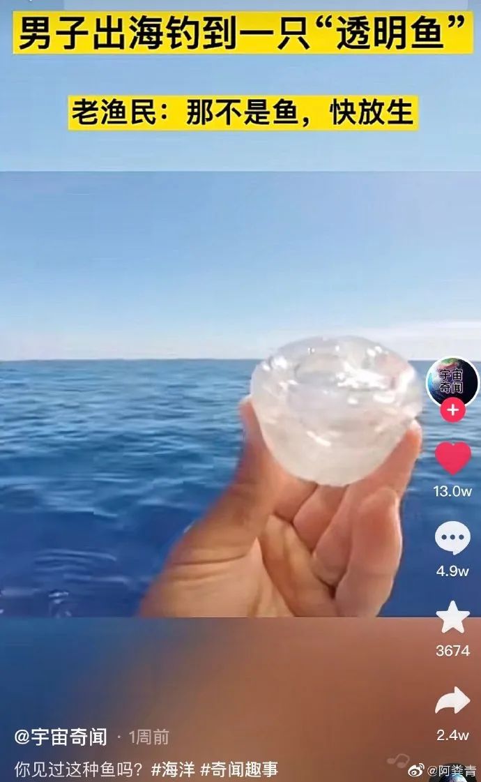 网课承受了太多社死|冷段子2365去年今日2008