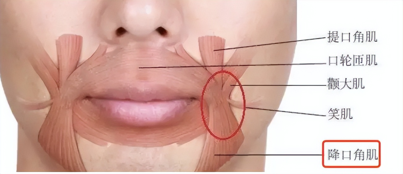 嘴角下垂怎么练微笑,嘴角下垂怎么笑好看