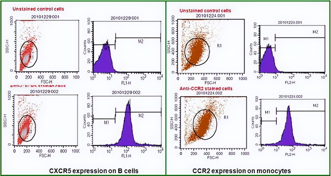 乙酸乙酯作为萃取剂的优缺点,环保溶剂乙二醇醋酸丁醚
