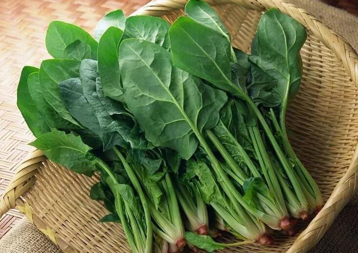 张文宏讲疫情要多吃蛋白质,张文宏说每天吃两个鸡蛋能抗疫情