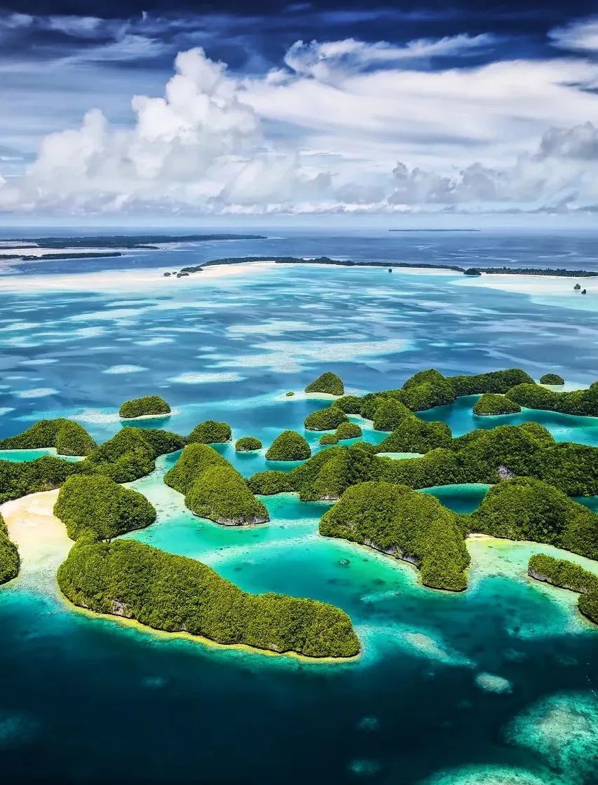 刚试了一下中华文字果然博大精深,涨知识了快来看看中国文字的魅力