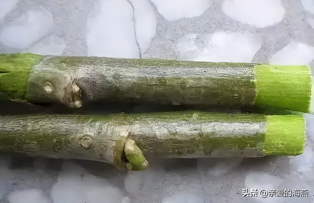 中班益智区自制玩具100例简单,童年玩具7080后的回忆自制