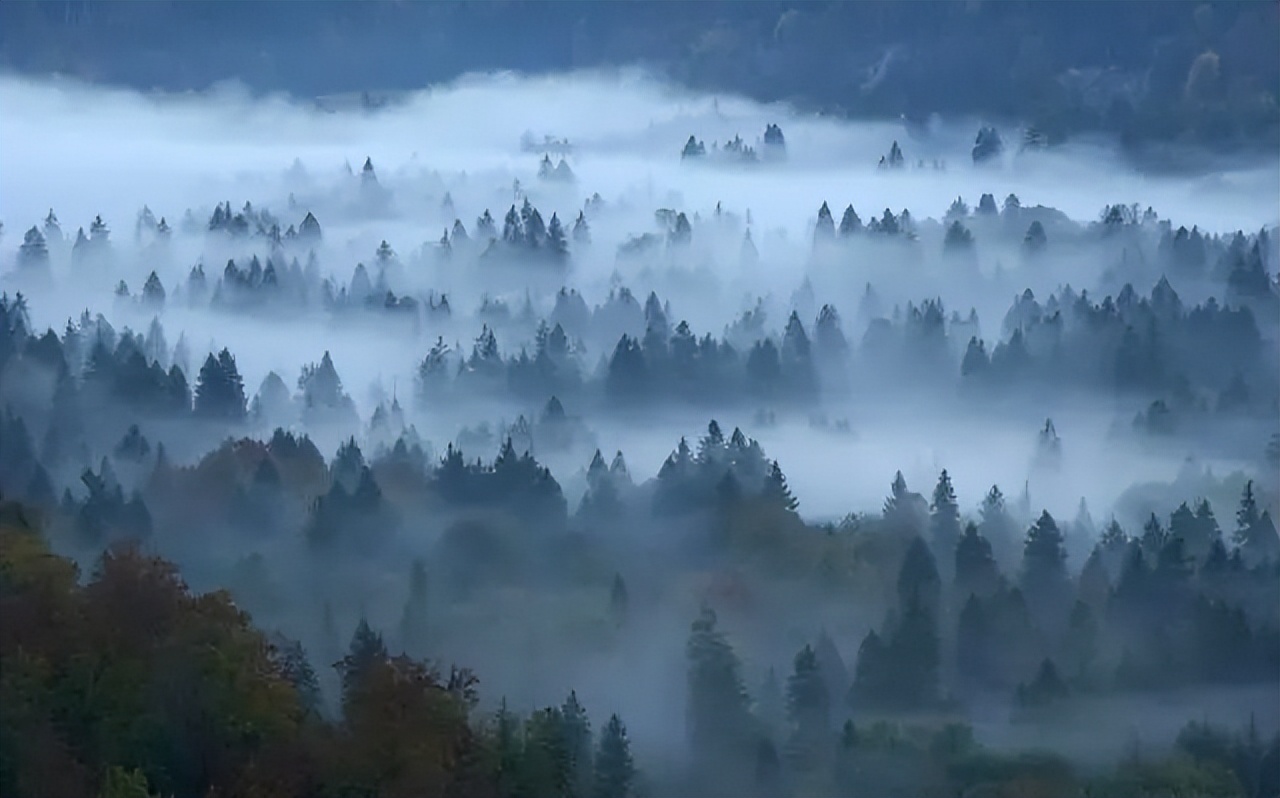 洪雅避暑哪里最好玩,洪雅避暑景点推荐
