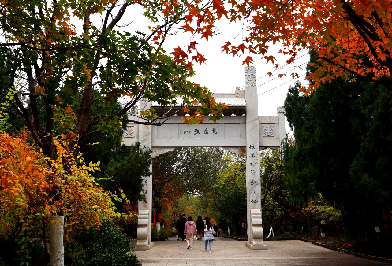 济南必打卡之地金秋时节,济南冬季打卡旅游胜地