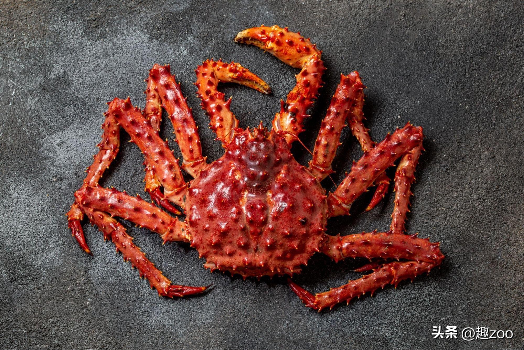 螃蟹都有什么品种哪种最大最好吃,螃蟹的种类有哪些哪种螃蟹最好