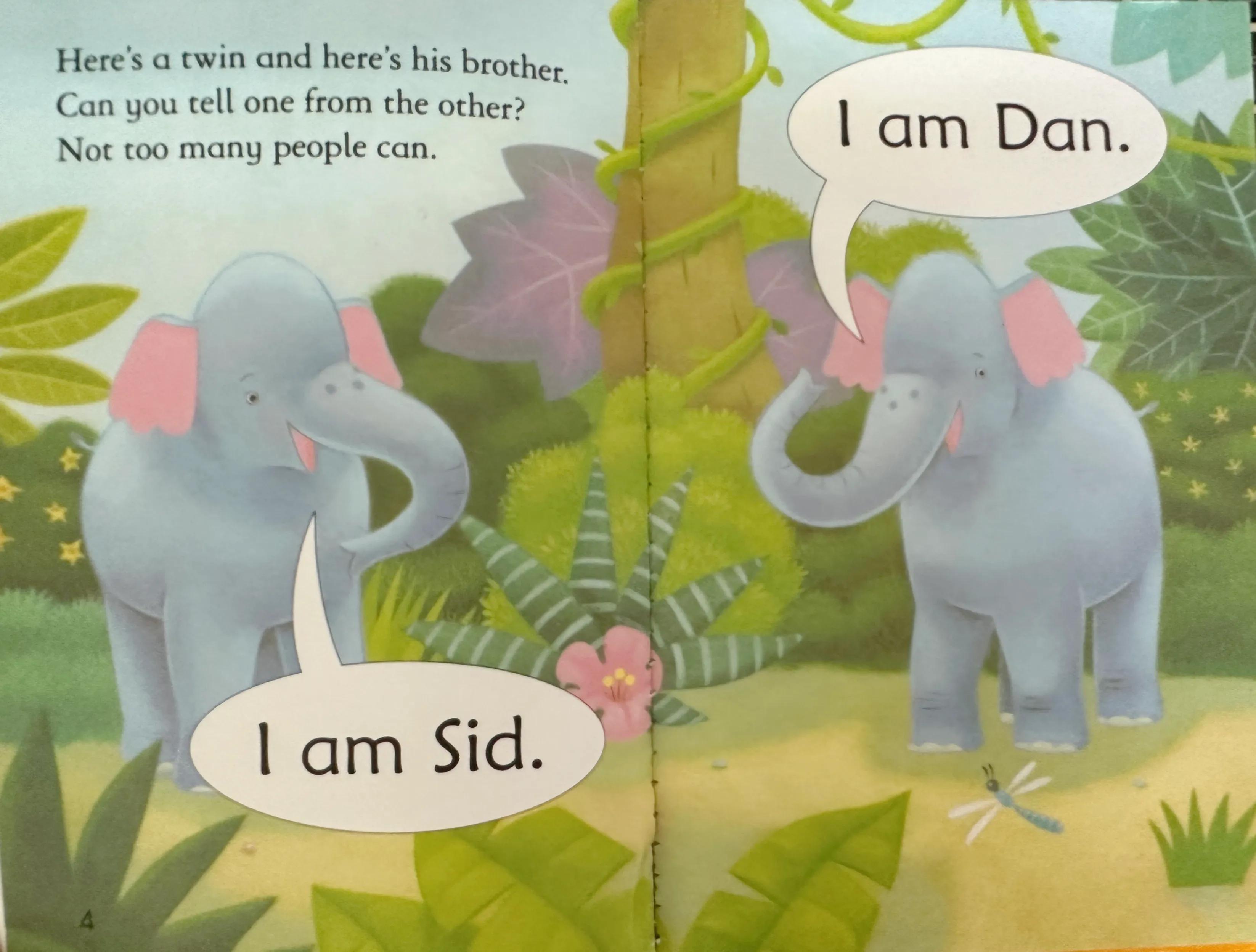 英语启蒙3-12岁分级阅读,英语分级阅读1-3岁