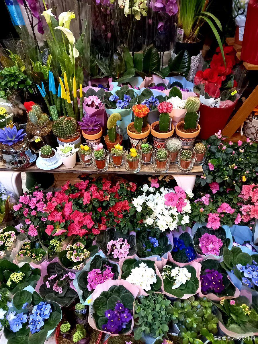 昆明旅游攻略绝美景点有哪些,昆明旅游攻略景点推荐理由大全图