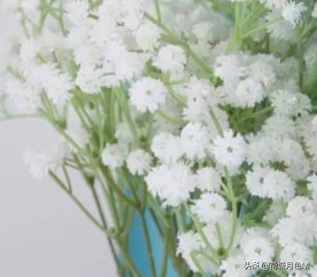 母亲节送给母亲一朵康乃馨,母亲节亲手做一朵康乃馨送给妈妈