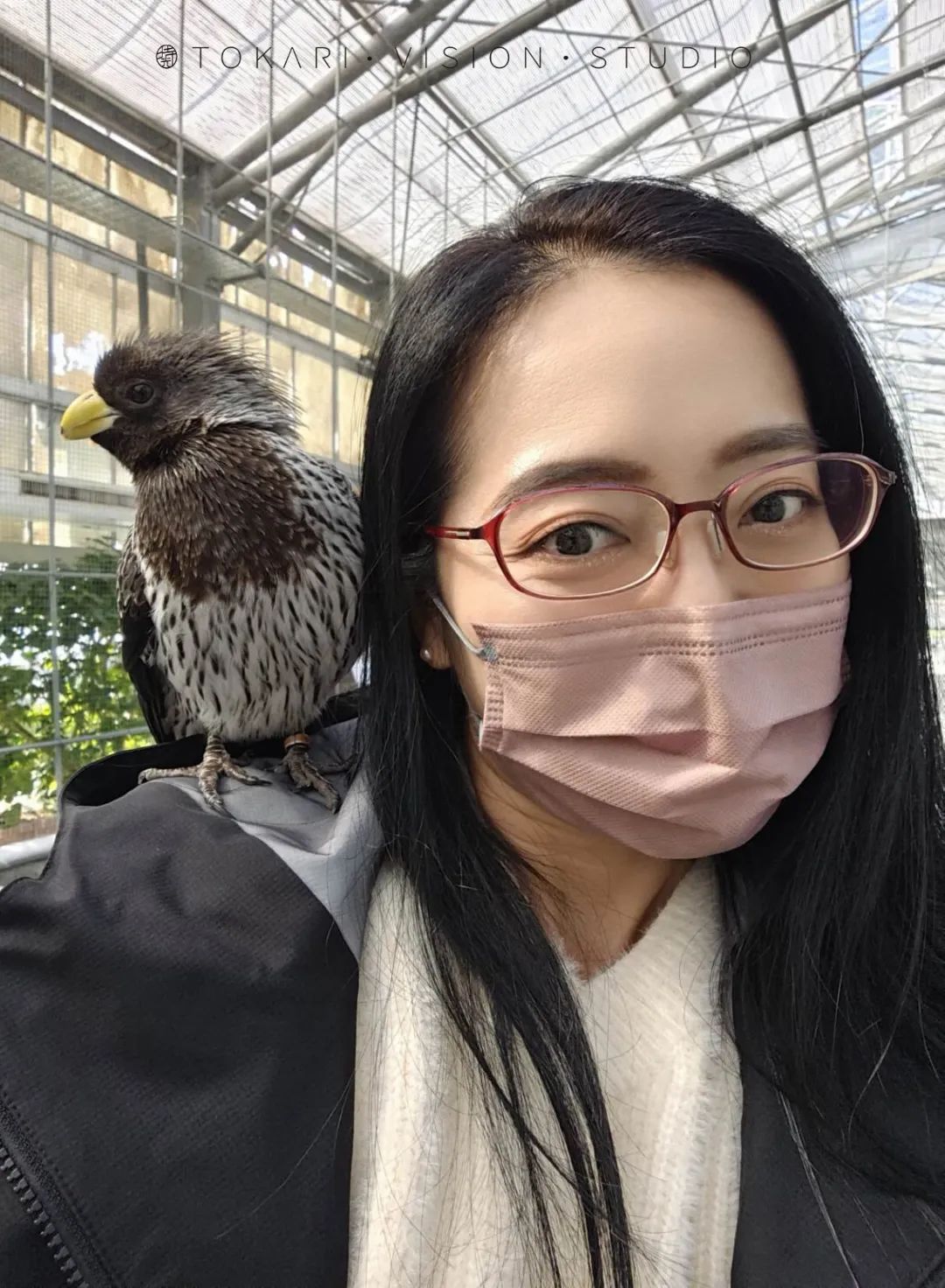 日本静冈市旅游,日本打卡景点小众静冈