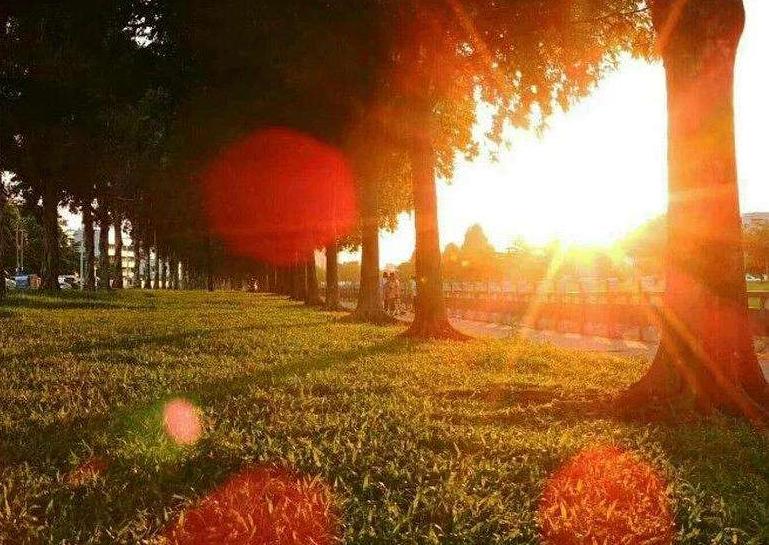 岁月流逝的古诗词名句,时光如水的古诗词