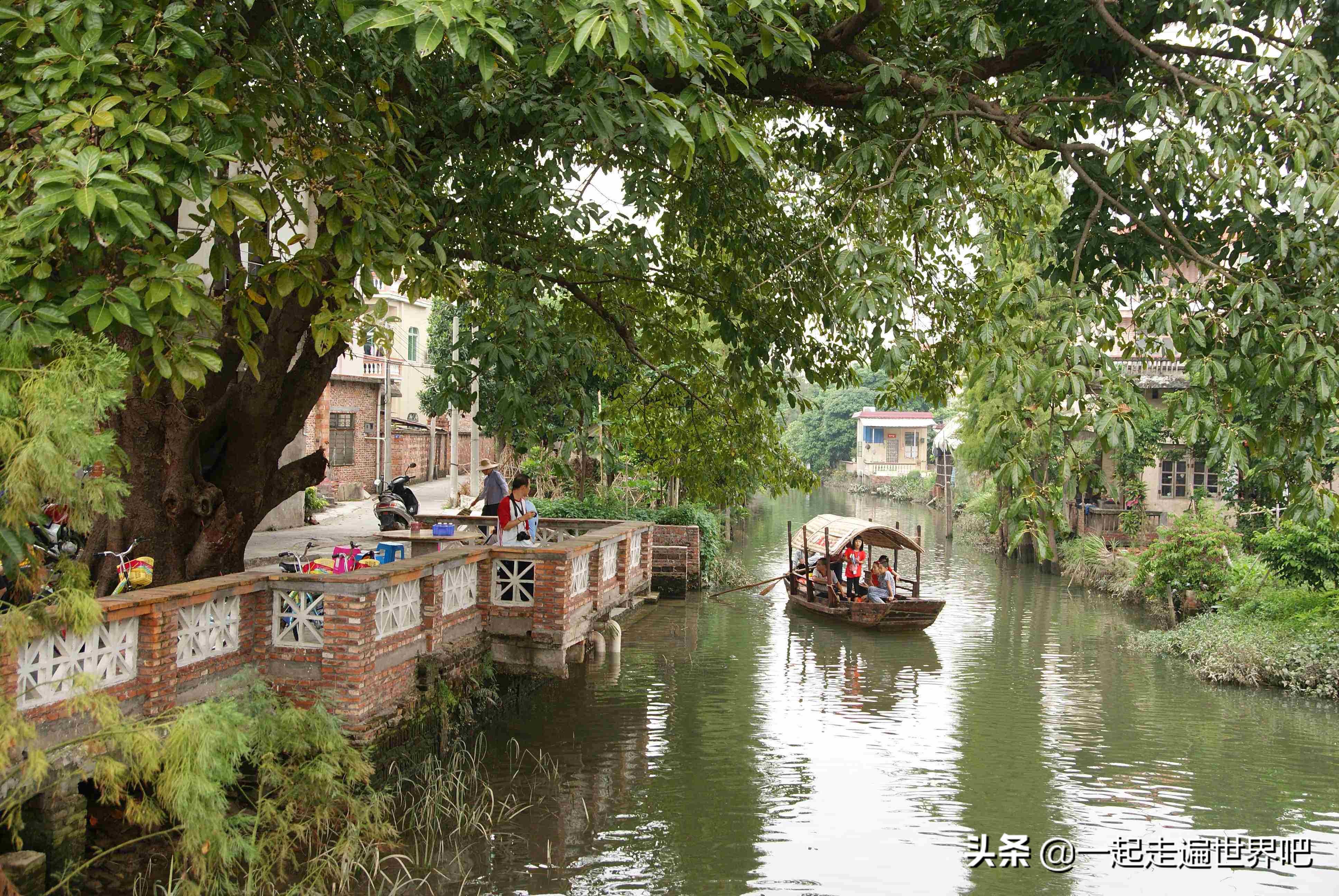 南沙黄山鲁森林公园一日游,广州南沙古港一日游攻略