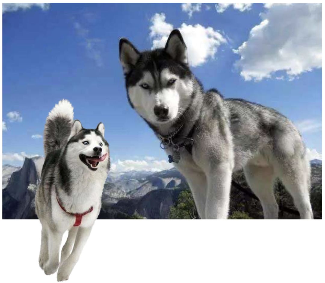 杂志的图片怎么保存到相册,杂志图片删除后会怎么样