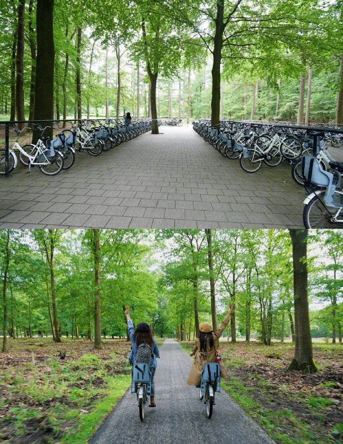 荷兰旅行自行车,荷兰骑自行车旅游