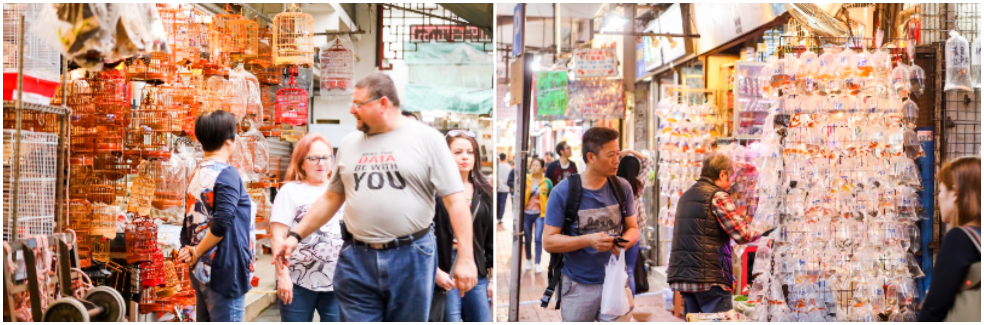 香港新鸿基地产8000亿,香港新鸿基商业地产