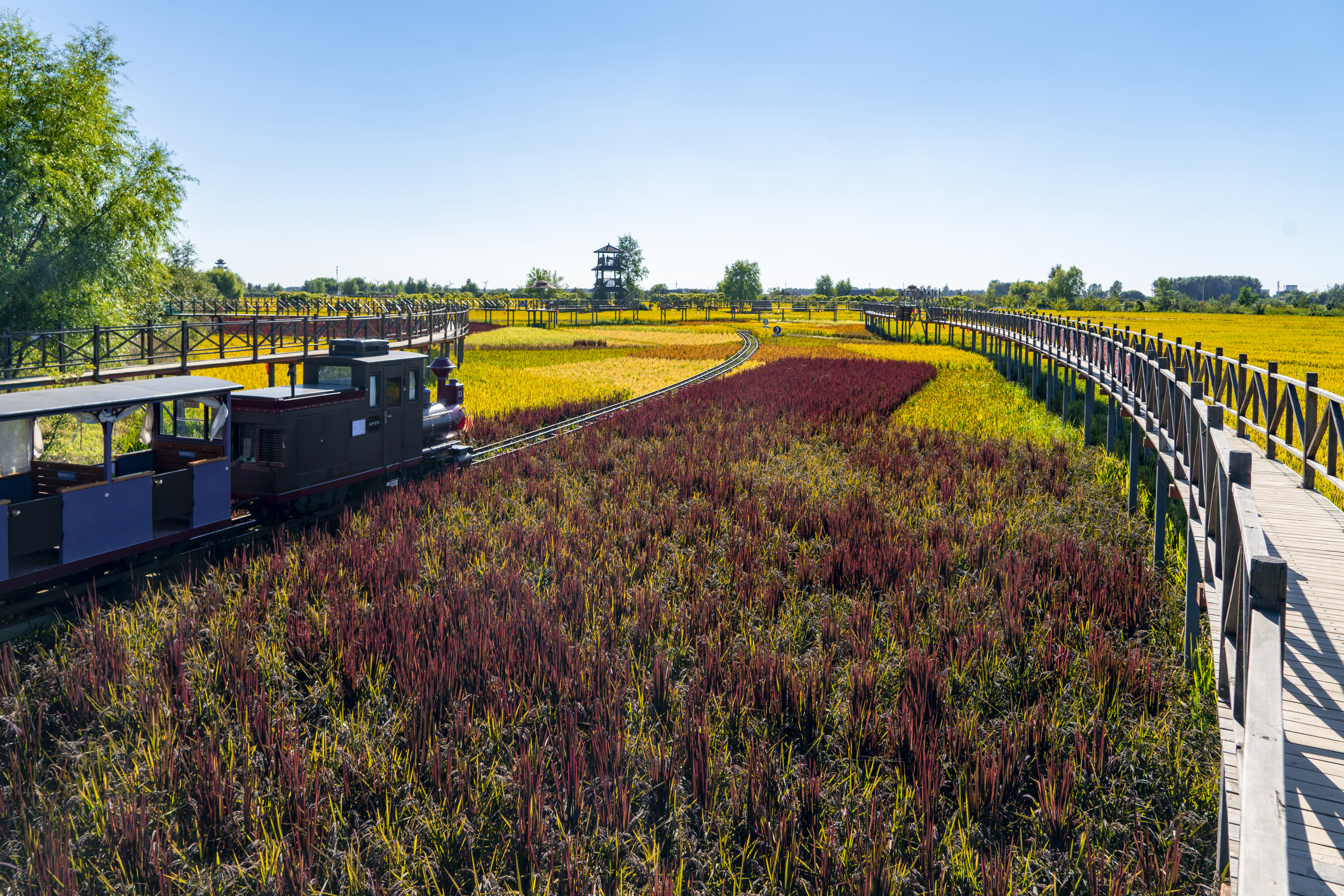 沈阳市稻梦空间,沈阳稻梦空间附近农家院