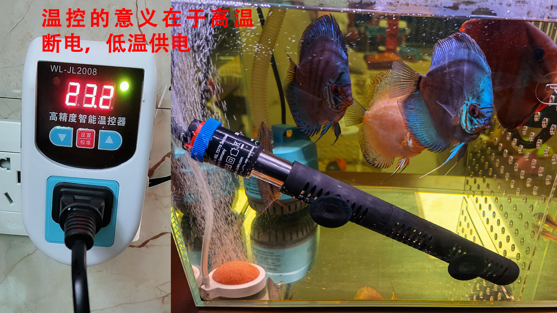 小鱼缸用25w和50w加热棒哪个省电,鱼缸加热棒选择多大比较省电