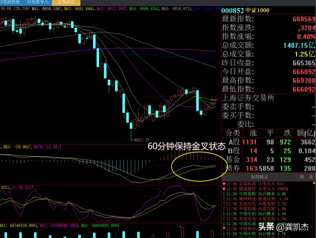 股市疯牛走势,今日大盘指数午评