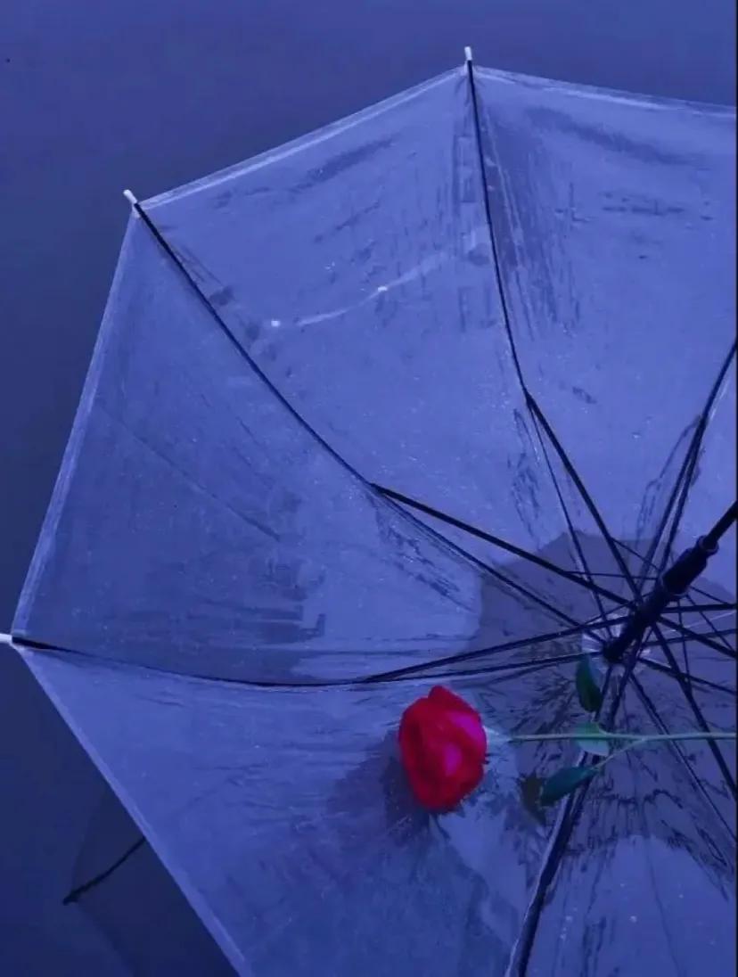 分手后伤感文案撕心裂肺,表达分手后还爱着对方的文案