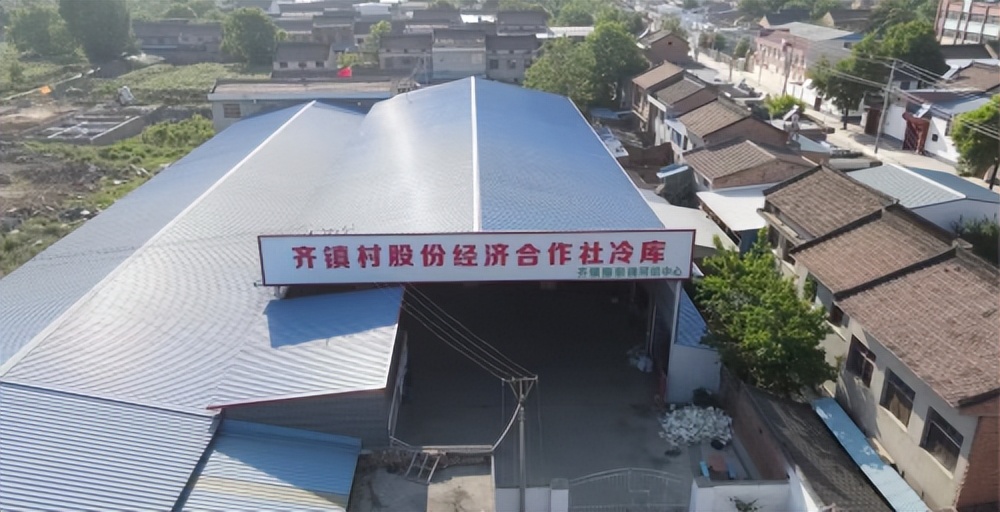 眉县齐镇村：1+12合并村集体经济融合发展驶入“快车道”