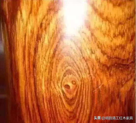 珍稀木材海南黄花梨,什么木比海南黄花梨更贵